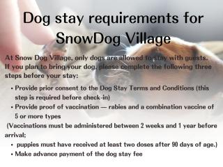 SnowDog Village - 3