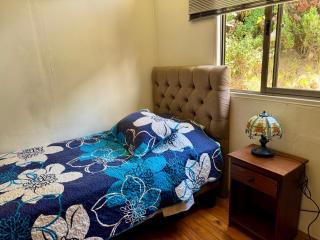 Cabaña en Valdivia frente al rio N1 - 7