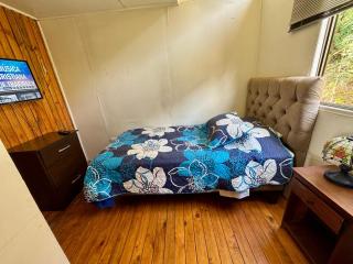 Cabaña en Valdivia frente al rio - 5