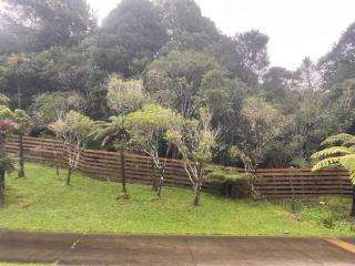 Enfield Bush Retreat - 8