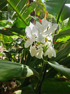 Beautiful house with access to a private beach - 1