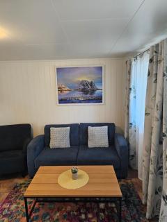 Apartment at Lofoten. Mølnarodden. - 7