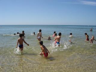 V2 Soft Beach Manta Rota - 9