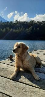 Petrohue hospedaje Dónde la Nena - Petrohué - 5