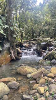 Finca Buenavista Sasaima - 6