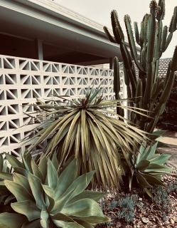 Casa Byron Bay - 0