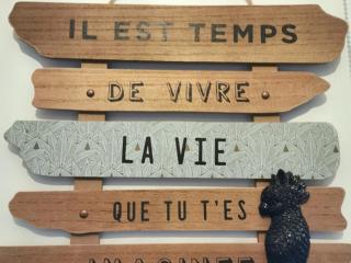 Gîte champêtre avec terrasse et jardin à Thiel-sur-Acolin - FR-1-489-339 - 4