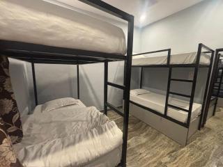 Backpackers Stop Bhimtal - 1