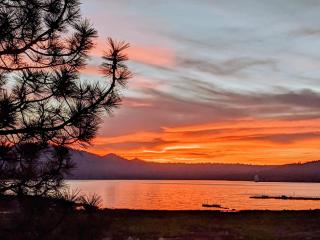 175 - Eagle Escape on Big Bear Lake - 8