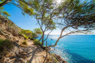 Apartament Massanet 1a - 8