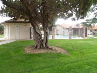 The Royal Oak Splash Sequoia Nat'l Park Lake Mts - 9