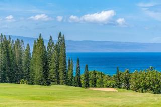 Kapalua Ridge Villas 1723 · KRV 1723 Luxury Ocean View + Free Lu - 5