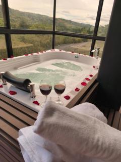 Medellín Luxury Cabin at Rionegro airport - 6