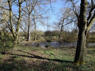 2 Bed in South Creake KT117 - 3