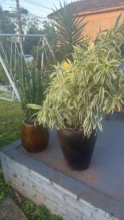 Casa semana expodireto - 9