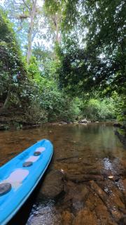 Villa Springwater Dellawa - 5