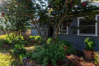 Couple retreat, pet friendly Bilpin - 6