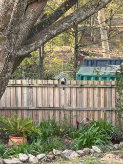 Couple retreat, pet friendly Bilpin - 2