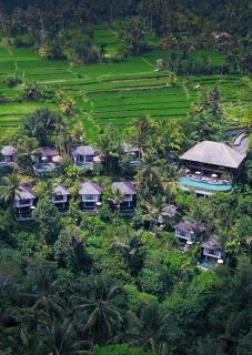Natya Resort Ubud - 0