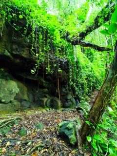 Cueva del Yaguarete - 7