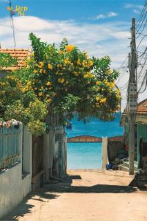 Villa De Doc Let Homestay - 2