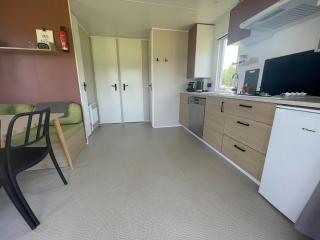 Holiday home in Schoonloo with balcony terrace - 1