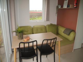 Holiday home in Schoonloo with balcony terrace - 1