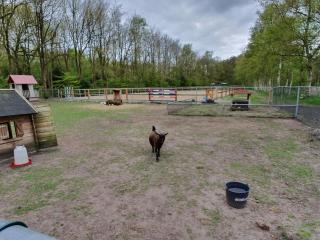 Holiday home in Schoonloo with balcony terrace - 9
