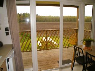 Holiday home in Schoonloo with balcony terrace - 8