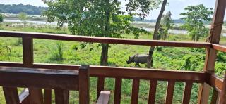 River View Jungle Camp - 2