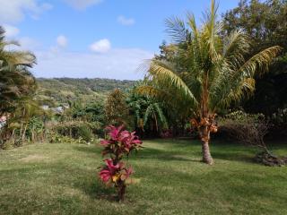 Mouck's Paradise - Tambe - 8