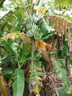 Mouck's Paradise - 7