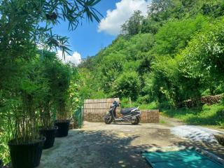 two goats fair travel - 6