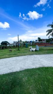 Quiet Modern Studio for Work and Rest - 7