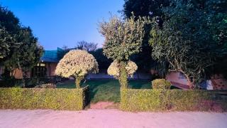 Luxury Signature Guest House - 1