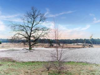 Beautiful Villa in Drunen with Private Heated Pool - 4