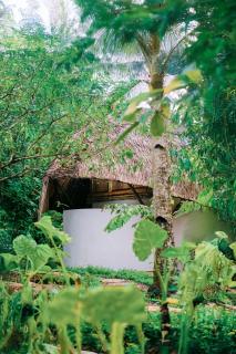 Bamboo Jungle Villa's - 5