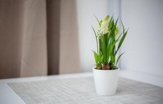 Charming Modern 1 BR Loft - 1