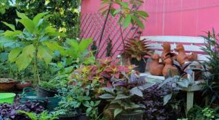 Rommai Rimnaam Resort - 5