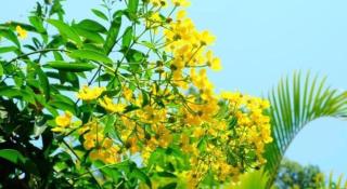 Rommai Rimnaam Resort - 3