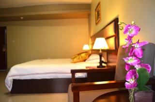 Hillside Plaza Hotel - 9