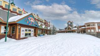 Raven's Nest - Mtn View & Hot Tub sleeps 6 - 1