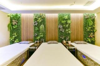 GreenTree Eastern Hotel Handan Daming Bus Station - 6