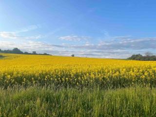 Familienhaus für 6 Personen - 0