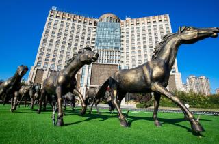 安阳华强诺华廷酒店 - 0