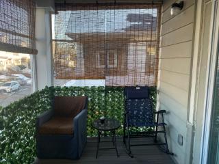 Spacious Apt, Parking, Laundry, BBQ, RU, RWJ - 4