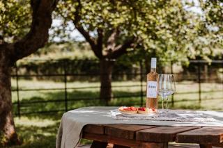 Secluded Cosy Luxury Pod with wood fired hot tub - 2