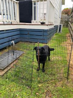 Phillip Island Central Cowes Pet Friendly Wifi Linen Towels Included Beach House - 9