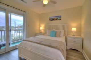 Island Palms - D1 - 5