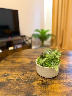 Eigentumswohnung in Dresden - 7